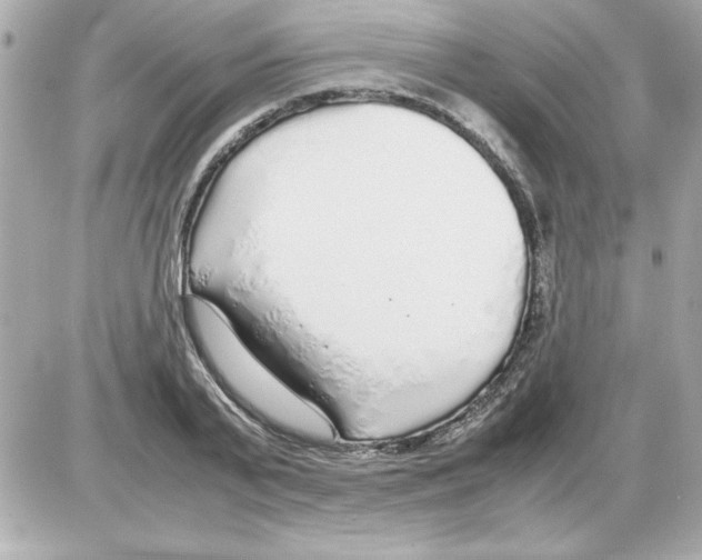 X0000085310791200704092322