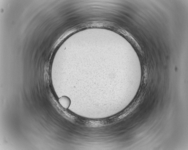 X0000085310794200704092322