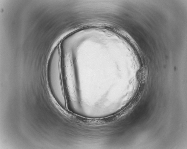 X0000085310795200704092322