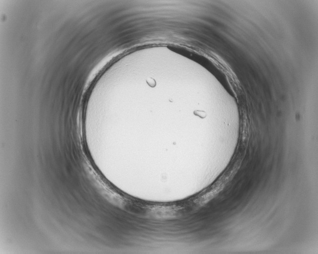 X0000085310796200704092322