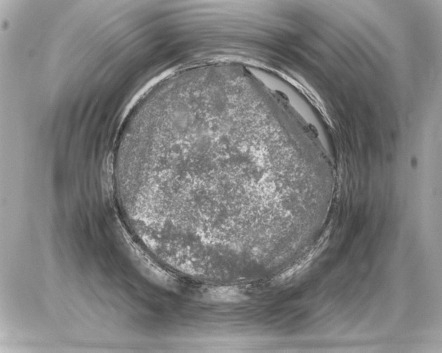 X0000085310798200704092322