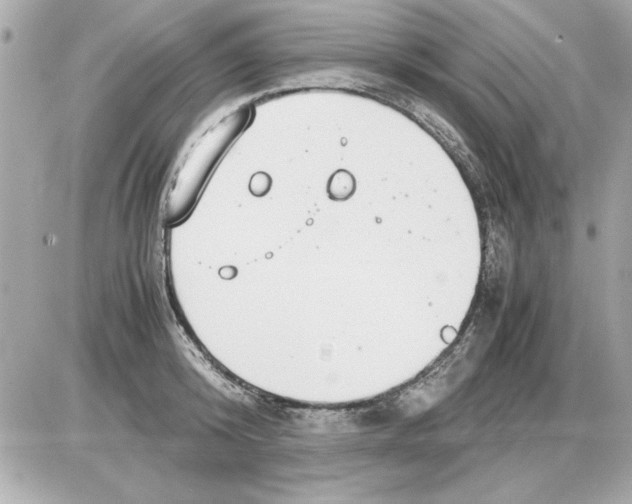 X0000085310800200704092322