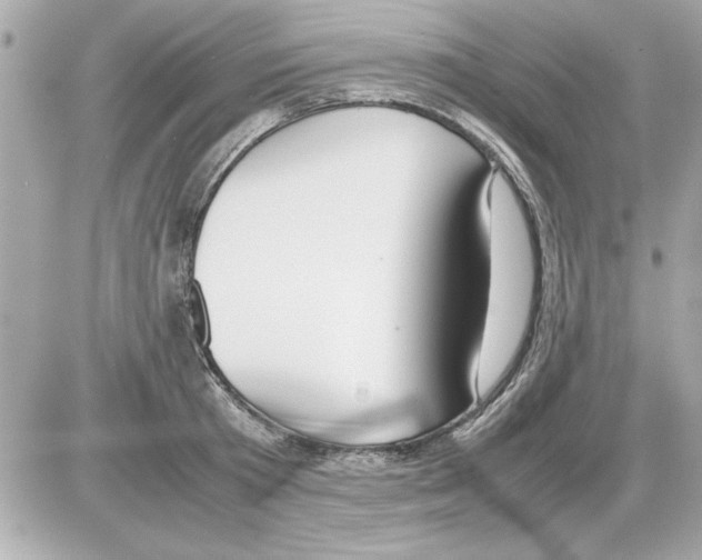 X0000085310801200704092322