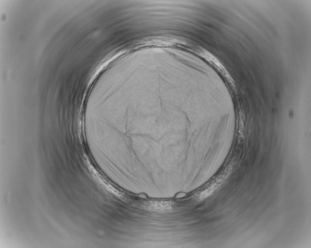 X0000085310802200704092322