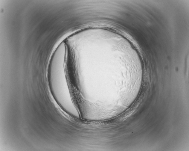 X0000085310803200704092322