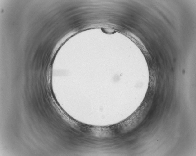 X0000085310804200704092322