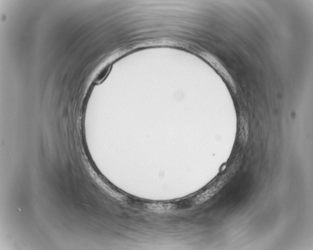 X0000085310805200704092322