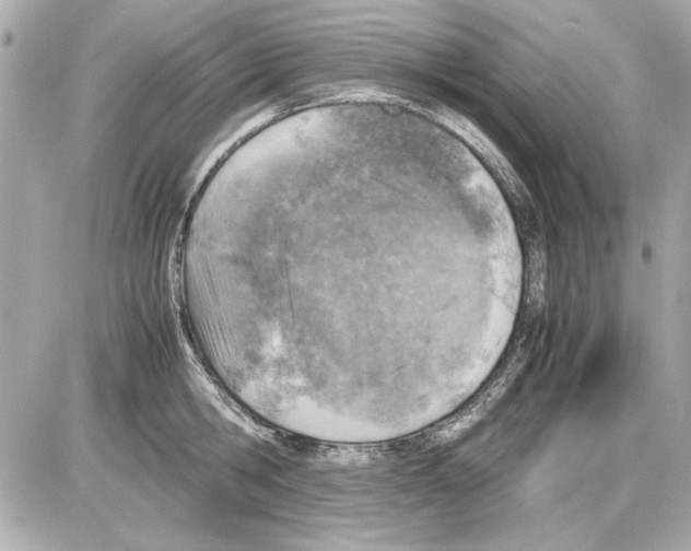 X0000085310806200704092322