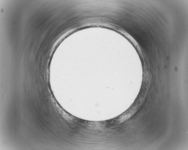 X0000085310807200704092322