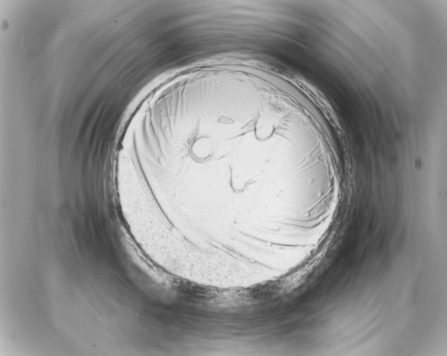 X0000085310808200704092322