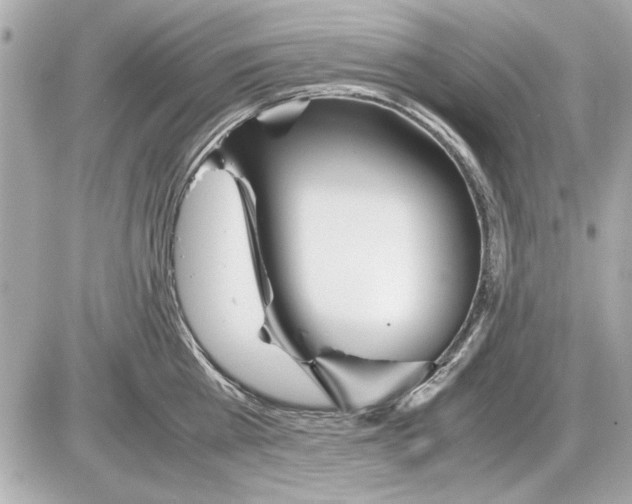 X0000085310809200704092322