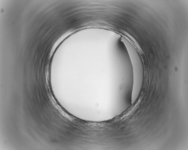 X0000085310812200704092321