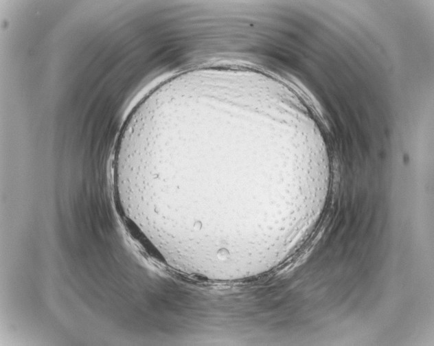 X0000085310814200704092321