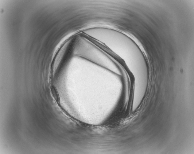 X0000085310815200704092321