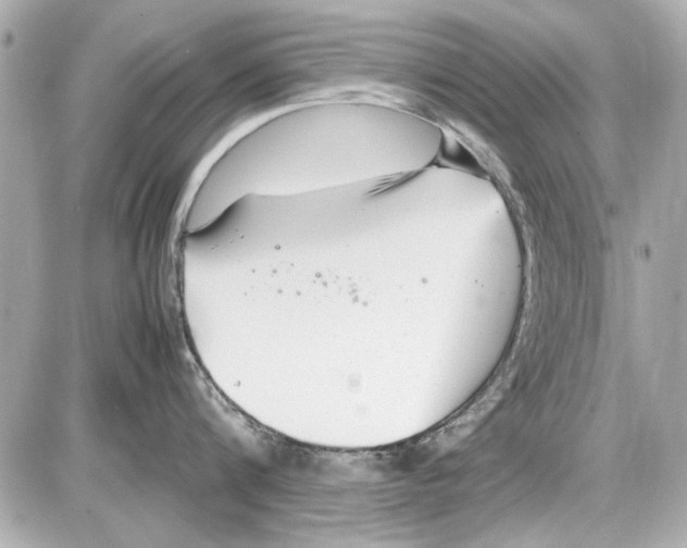 X0000085310816200704092321