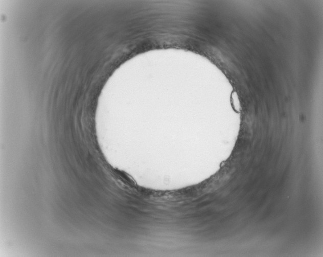 X0000085310817200704092321