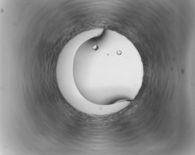 X0000085310818200704092321