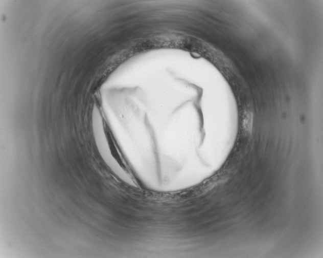 X0000085310819200704092321