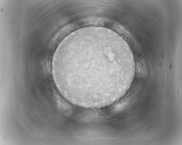 X0000085310820200704092321