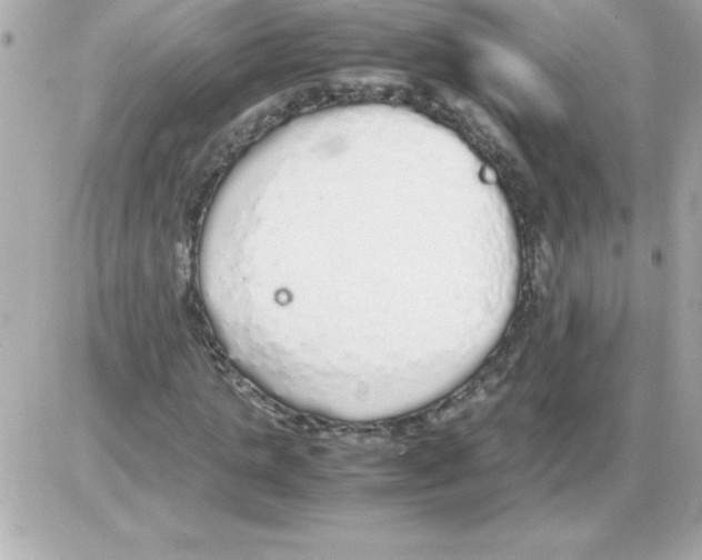 X0000085310821200704092321