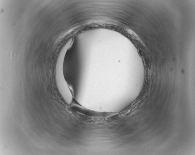 X0000085310822200704092321