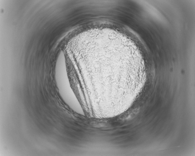 X0000085310823200704092321