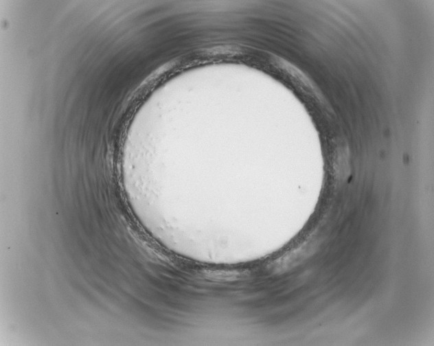 X0000085310825200704092321