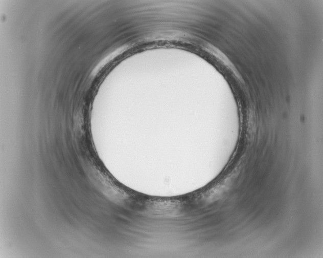 X0000085310826200704092321