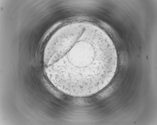 X0000085310828200704092321