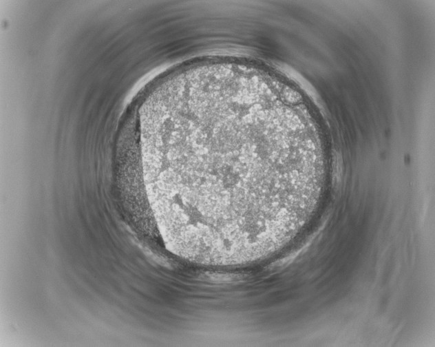 X0000085310829200704092321