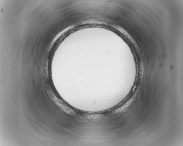 X0000085310830200704092321