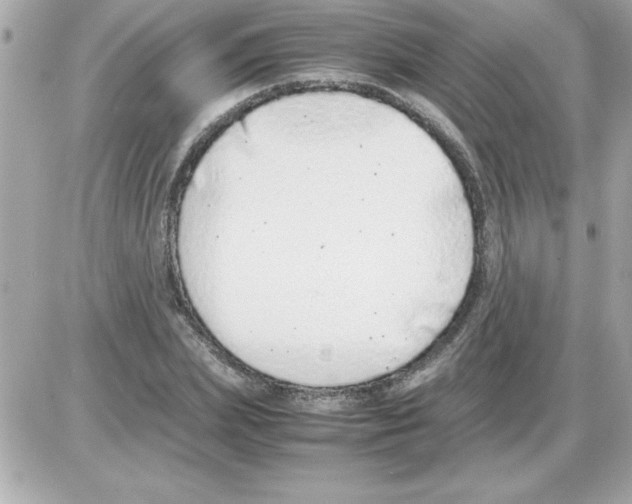 X0000085310831200704092321