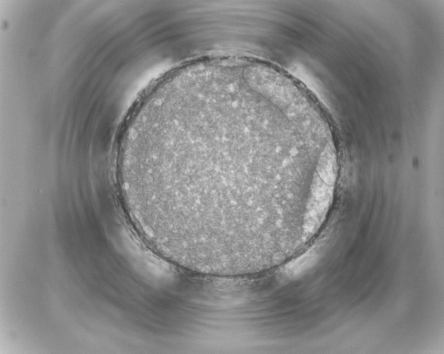 X0000085310832200704092321