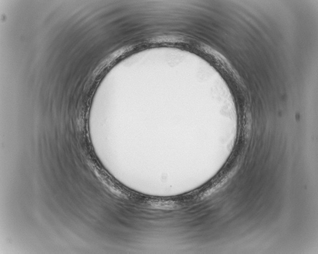 X0000085310833200704092321