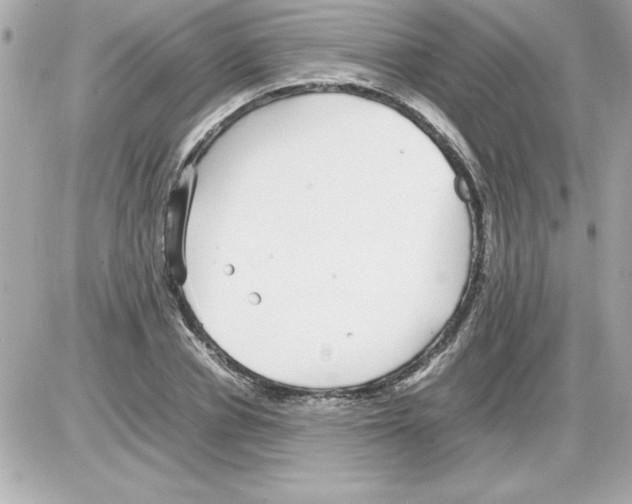 X0000085310834200704092321