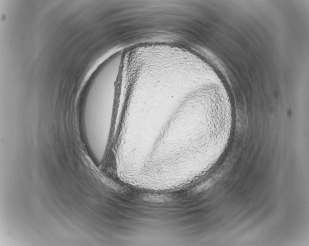 X0000085310835200704092321