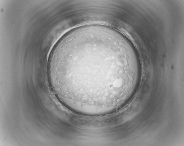 X0000085310836200704092321