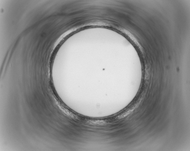 X0000085310837200704092321