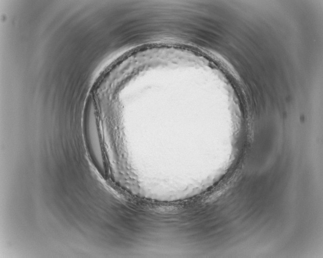 X0000085310839200704092321