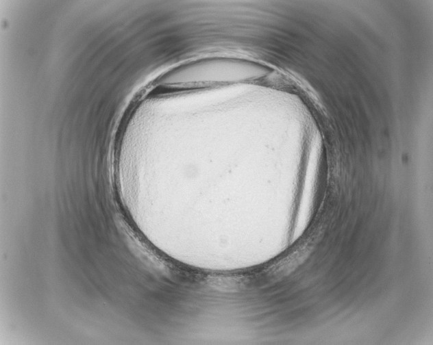 X0000085310840200704092321