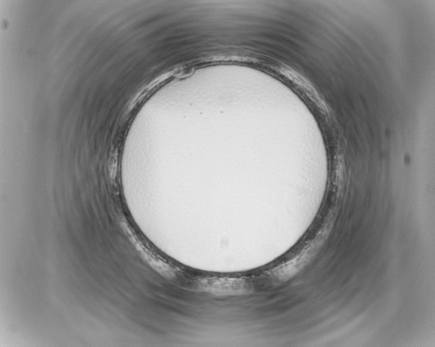 X0000085310841200704092321