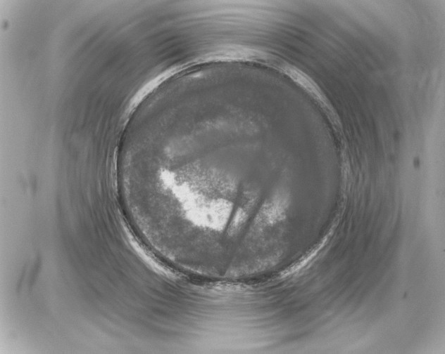 X0000085310842200704092321