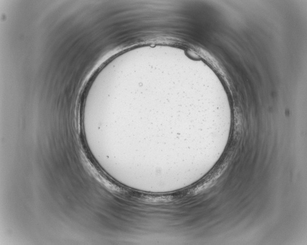 X0000085310843200704092321