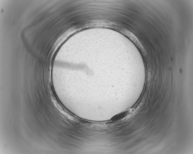 X0000085310844200704092321