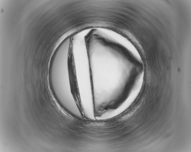 X0000085310845200704092321