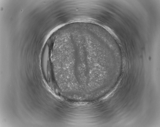 X0000085310846200704092321