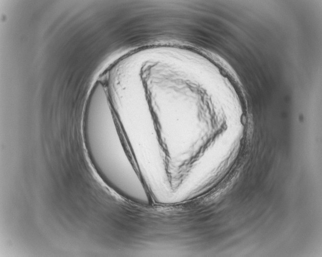 X0000085310847200704092321