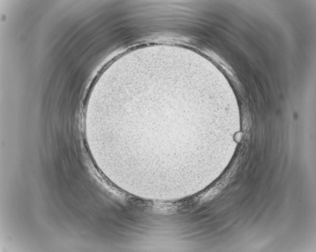 X0000085310848200704092321