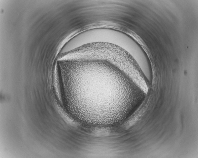 X0000085310850200704092321