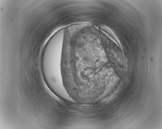 X0000085310851200704092321